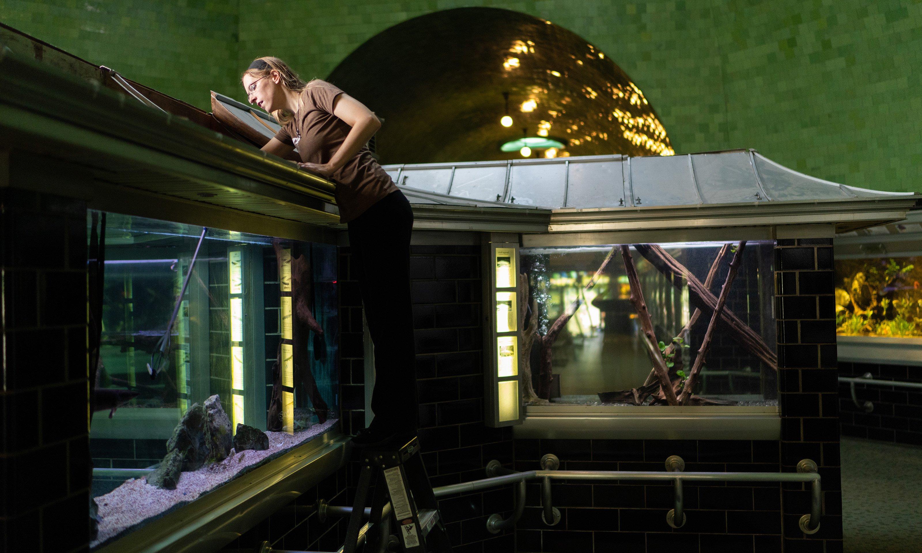 Woman cleaning out tank