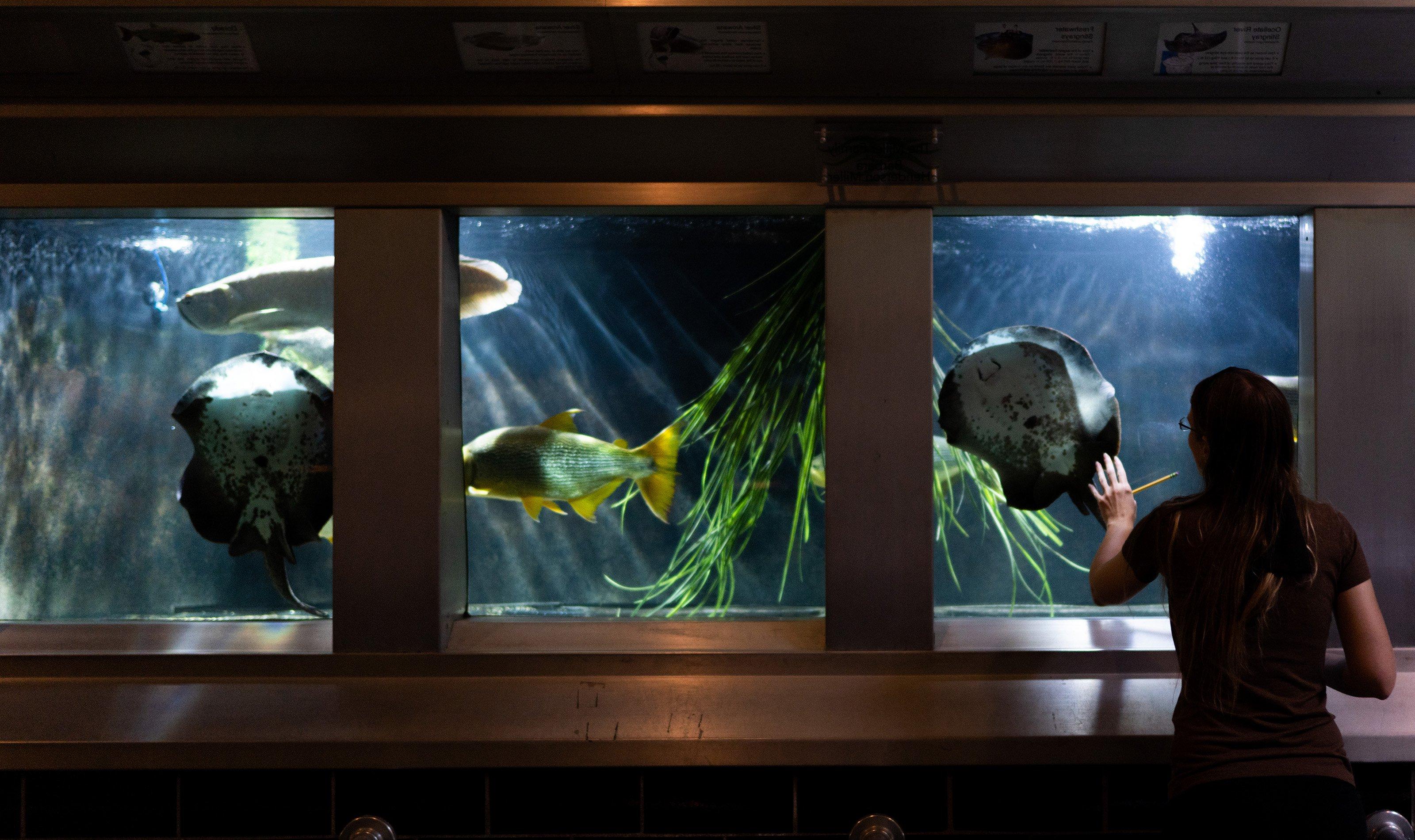 Woman standing at fish tank