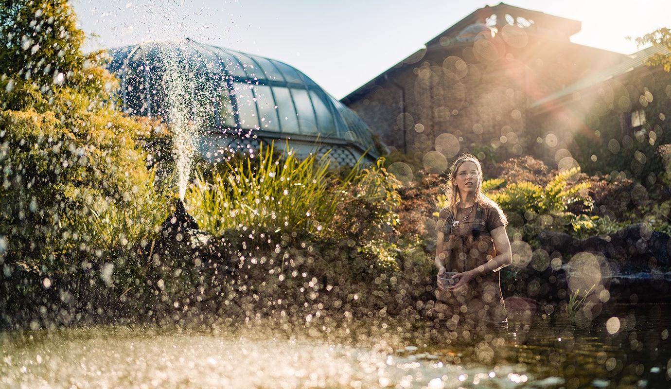 Woman standing in koi pond