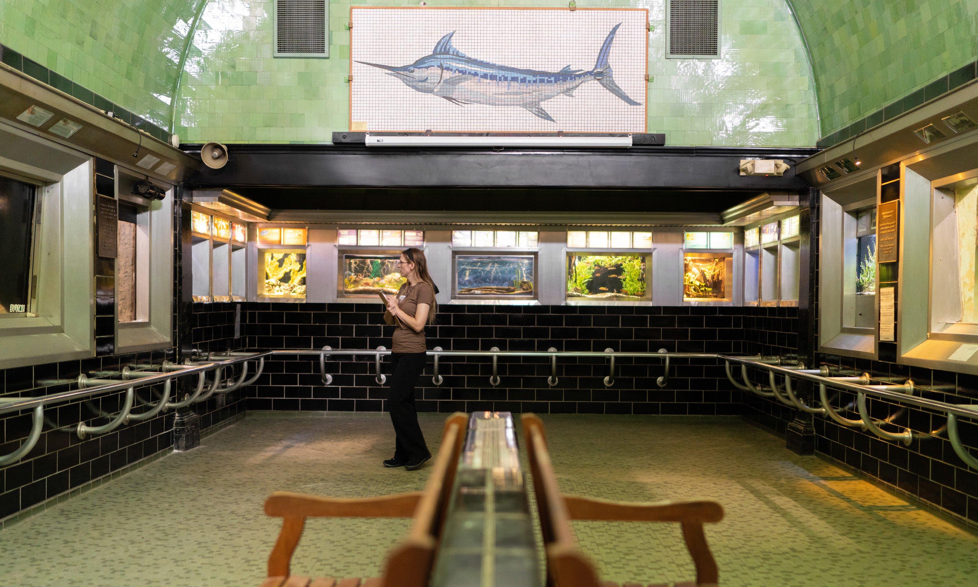 Woman walking around Belle Isle Aquarium